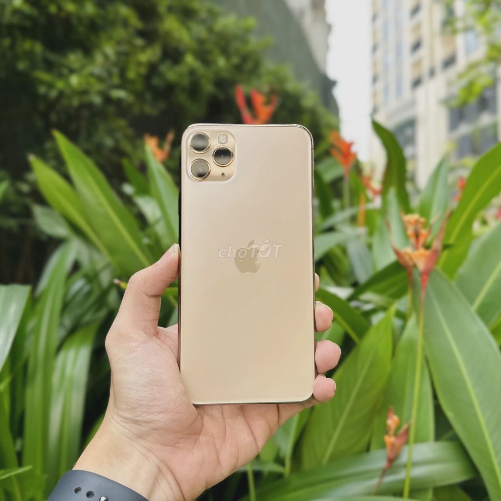 iPhone 11 Pro Max 64GB Vàng Đã sử dụng. Mua bán Điện thoại tại Quận 4 Tp Hồ Chí Minh được đăng bởi Phan Tuan hình 1