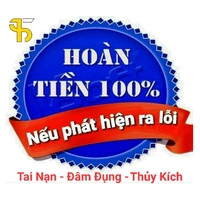 Thái Sơn Auto