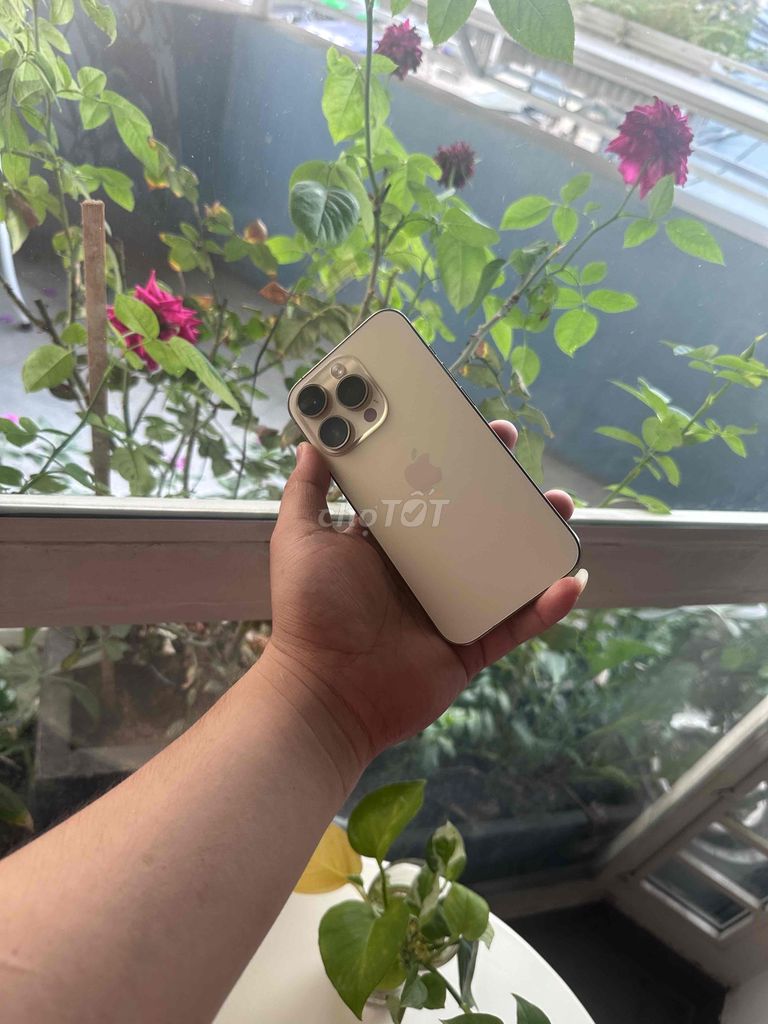 Apple iPhone 14 Pro 128GB Vàng Đã sử dụng. Mua bán Điện thoại tại Quận 10 Tp Hồ Chí Minh được đăng bởi Lê Hoàng Khoa  hình 1