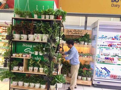 [KO CẦN KN, CÓ THƯỞNG] NV LÀM VIỆC LÂU DAI QUẬN 12
