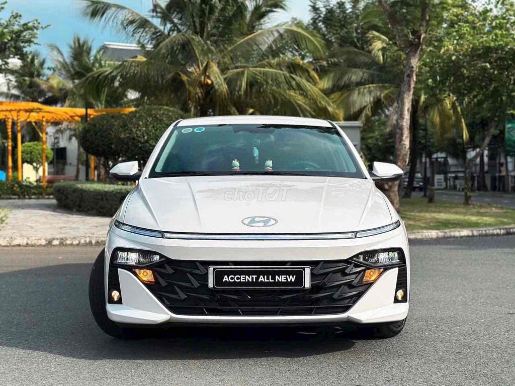 Ảnh số 2