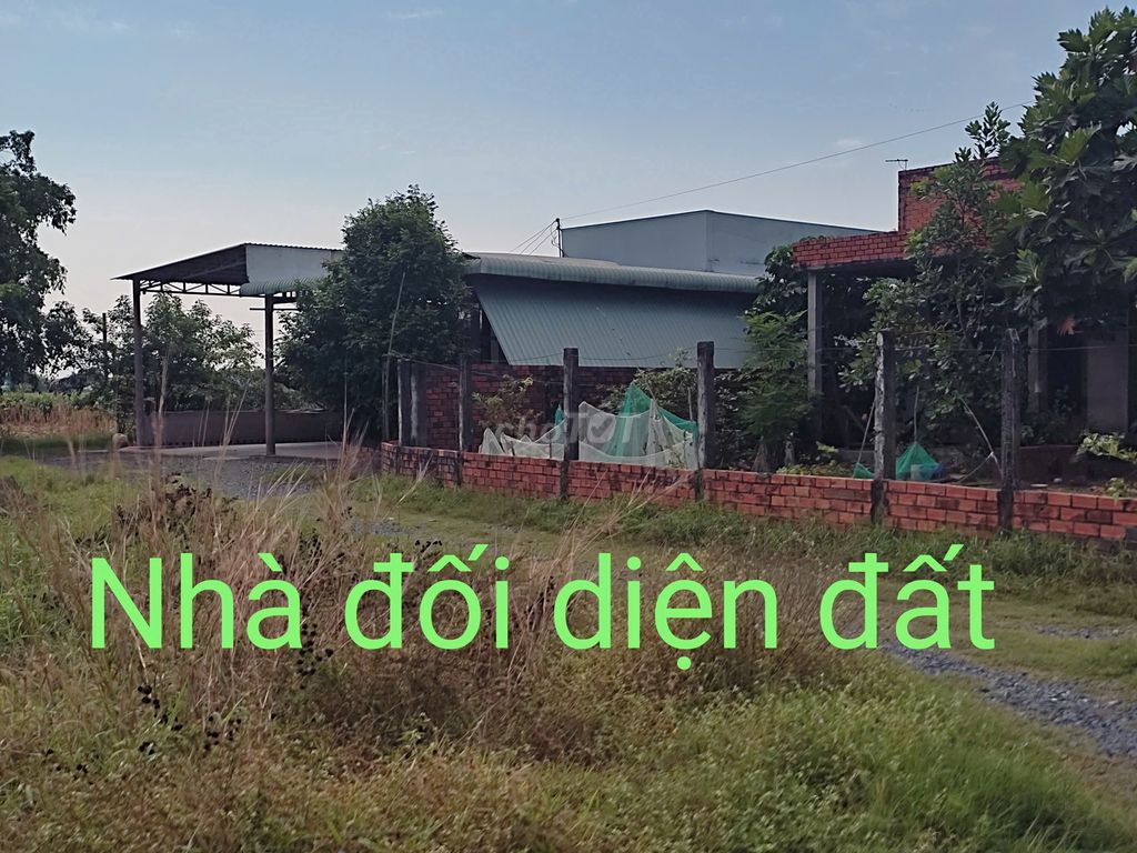 🌸🌿 Bán đất đẹp tại TL9 -Mỹ Hạnh Bắc, Long An chỉ🌸 8 triệu/m2