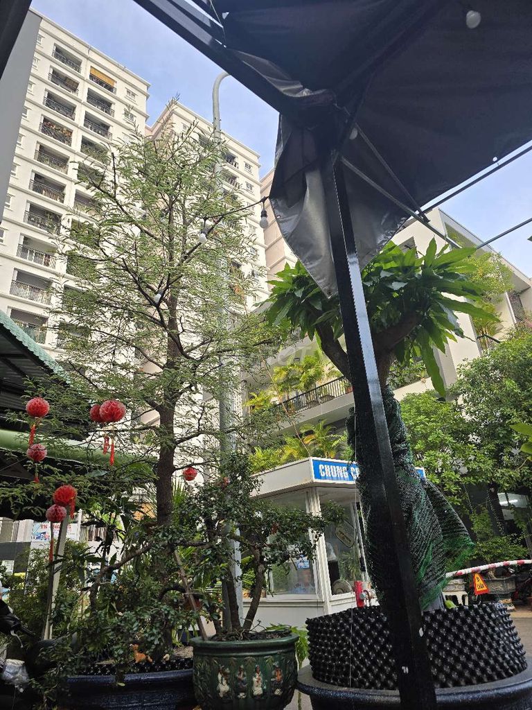 Bán chung cư xuân thủy ( chung cư hoàng văn thụ ) , quy nhơn Bán chung cư xuân thủy ( chung cư hoàng văn thụ ) , quy nhơn