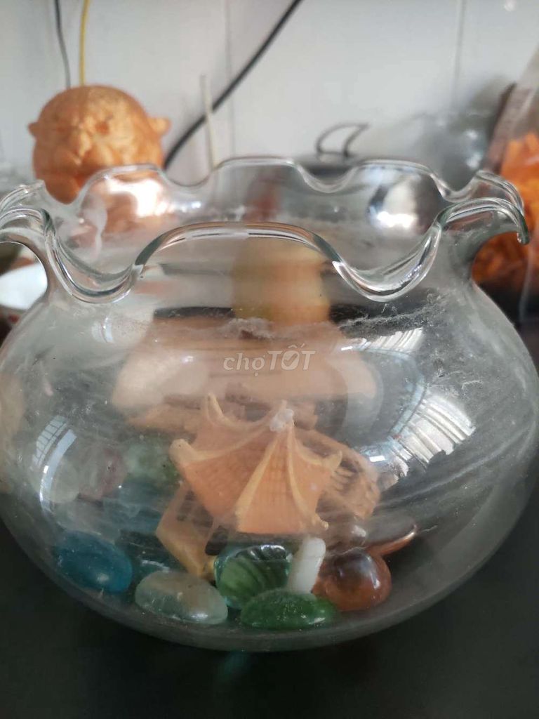 Chậu cá thủy tinh 15cm 17cm ít sử dụng. Mua bán Phụ kiện, Thức ăn, Dịch vụ tại Quận 7 Tp Hồ Chí Minh được đăng bởi Chuồn Chuồn Ớt  hình 1