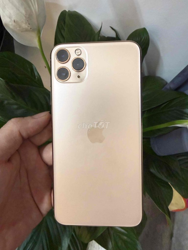 iPhone 11 Pro Max 64GB Vàng Đã sử dụng. Mua bán Điện thoại tại Quận Nam Từ Liêm Hà Nội được đăng bởi Nhật Quang hình 1