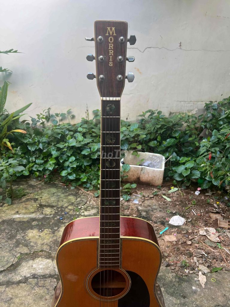 Guitar Morris W39M bản giới hạn
