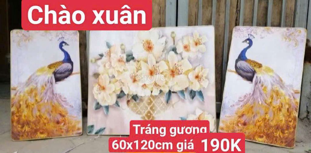 Tranh chim công tráng gương treo phòng ngủ