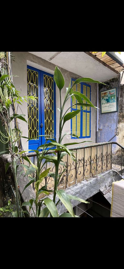 Cho thuê 20 Tràng Tiền