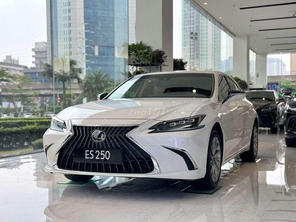 [Lexus ES300h_ES250] Model 2024, Đủ màu Giao ngay!