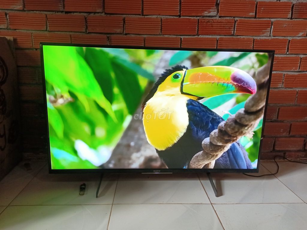 Tivi Sony 43 inch 2020. Mua bán Tivi, Âm thanh tại Thành phố Long Khánh Đồng Nai được đăng bởi Van tien hình 1