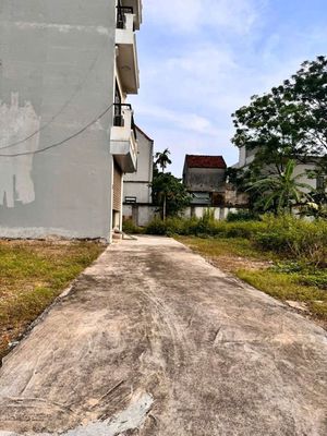 🚀 ĐẤT TỰ NHIÊN - THƯỜNG TÍN - GIÁ TỐT KHÓ TÌM 💰 giá chỉ nhỉnh 1tỷ Đẹ. Mua bán đất tại Huyện Thường Tín Hà Nội được đăng bởi Hồng luân