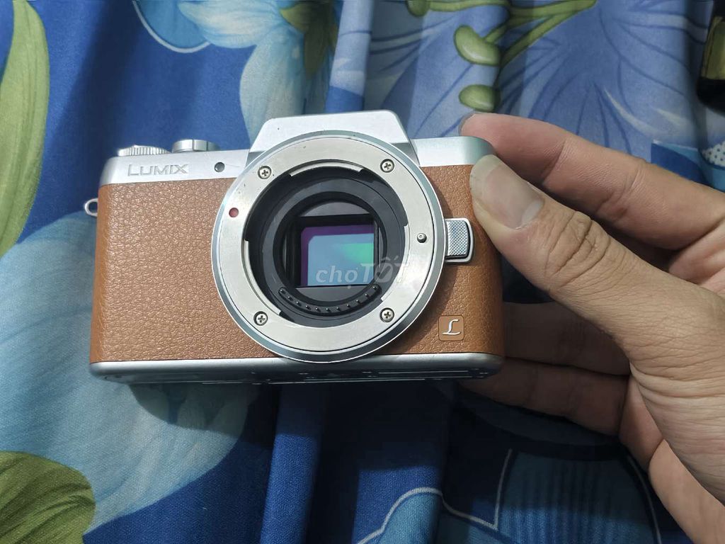 Máy ảnh Panasonic Lumix GF7 Nâu, Bạc. Mua bán Máy ảnh, Máy quay tại Quận Bình Thạnh Tp Hồ Chí Minh được đăng bởi Tâm Hồ hình 1