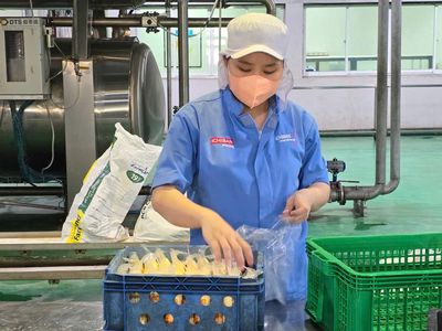 50 LĐPT LÀM Ở KCN YÊN NGHĨA - ĐƯỢC ỨNG LƯƠNG. Việc làm tại Quận Hà Đông Hà Nội được đăng bởi CÔNG TY CUNG ỨNG NHÂN LƯC NHÂN KIỆT hình 1