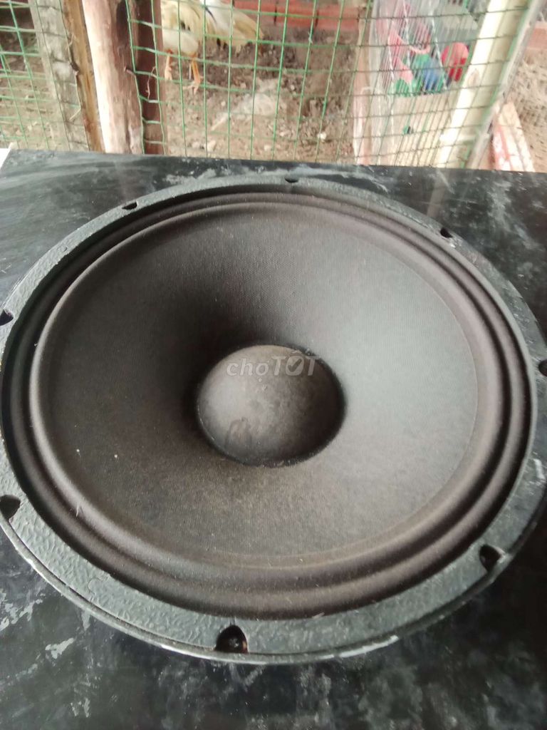 Loa Bass D-12170. Mua bán Tivi, Âm thanh tại Thành phố Bạc Liêu Bạc Liêu được đăng bởi Đạt Phạm hình 1
