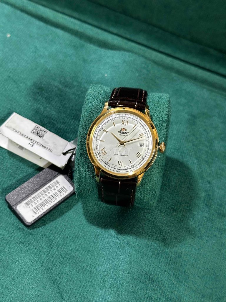 Đồng hồ Orient bambino new 100% chính hãng tggđ