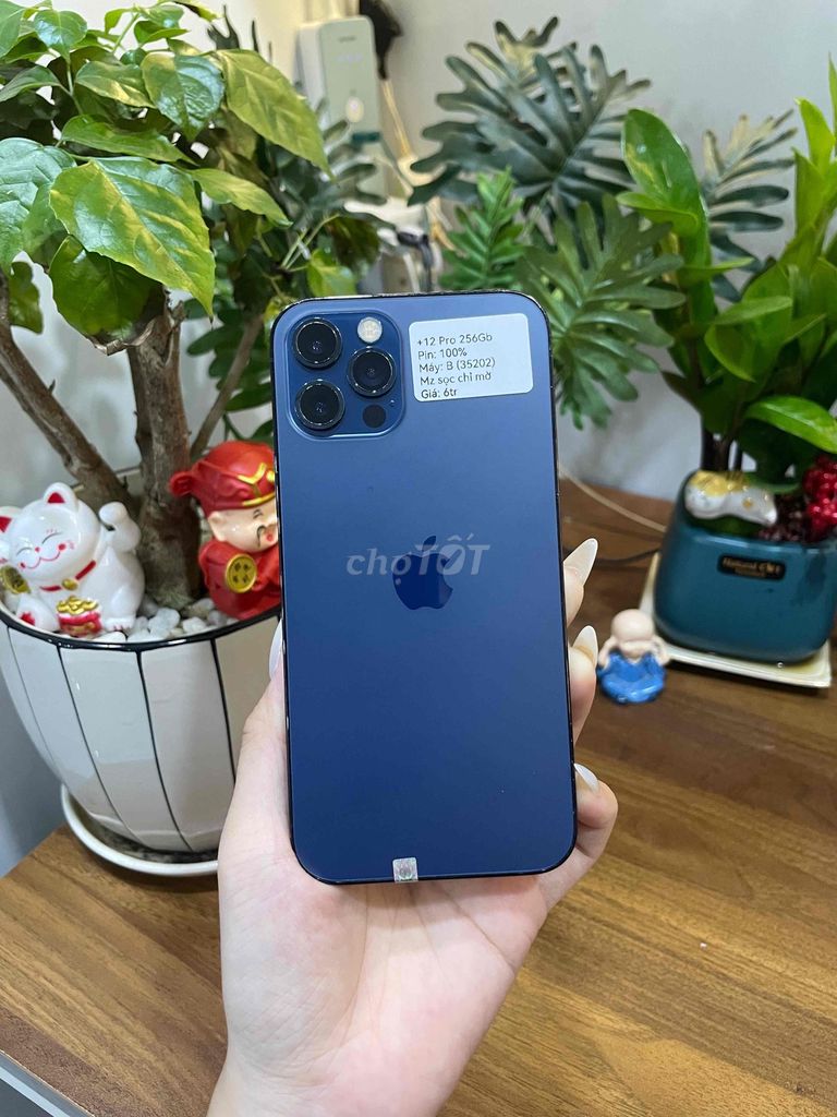 iPhone 12 Pro 256GB (Blue), màn zin sọc chỉ. Mua bán Điện thoại tại Huyện Hóc Môn Tp Hồ Chí Minh được đăng bởi Luân Hoài hình 1