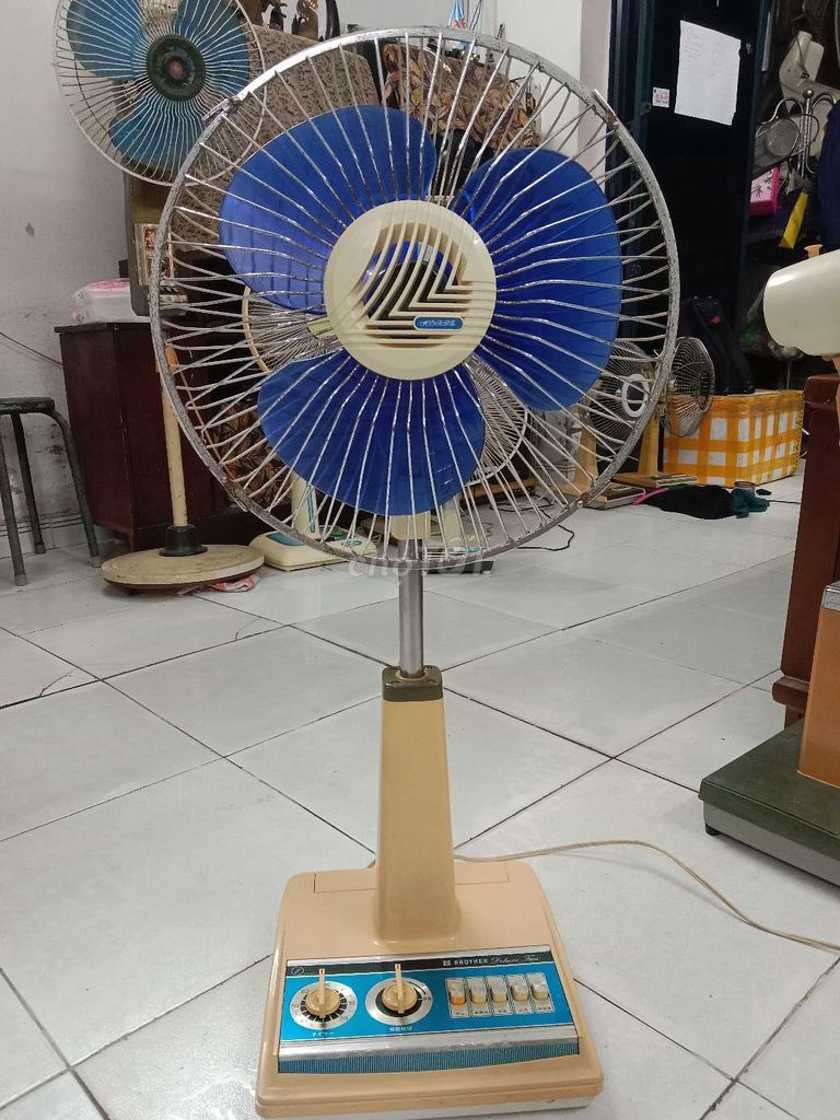 Brother Nhật Bản 100v