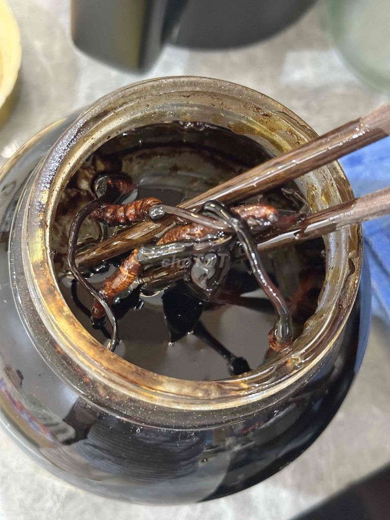 thanh lý mật ong ngâm đông trùng hạ thảo, saffaron. Mua bán Đồ ăn, thực phẩm và các loại khác tại Quận Cẩm Lệ Đà Nẵng được đăng bởi BDS Đà Nẵng hình 1