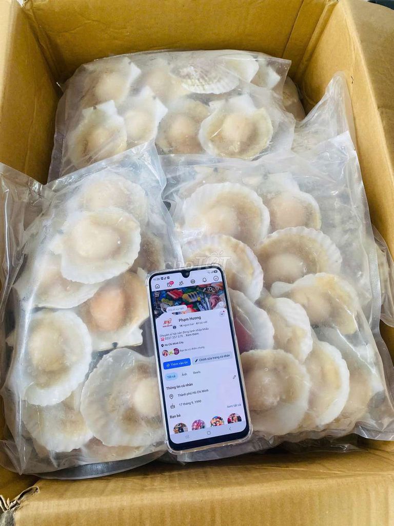 Sò điệp nửa mảnh lớn 12-14 mảnh/ký sỉ thùng 10kg. Mua bán Đồ ăn, thực phẩm và các loại khác tại Thành phố Thủ Đức Tp Hồ Chí Minh được đăng bởi Hương JMC hình 1