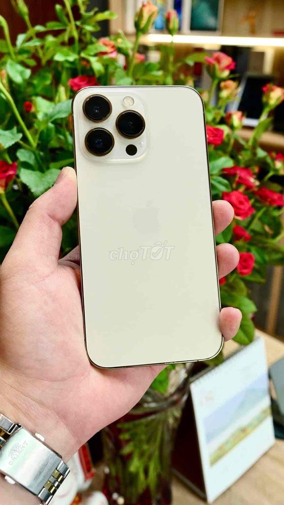iPhone 13 Pro GOLD 256G FULLBOX Zin APPLE 2023. Mua bán Điện thoại tại Quận Thanh Xuân Hà Nội được đăng bởi Nguyễn Huy Dũng hình 1