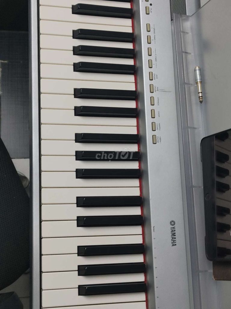 Piano điện Yamaha P95