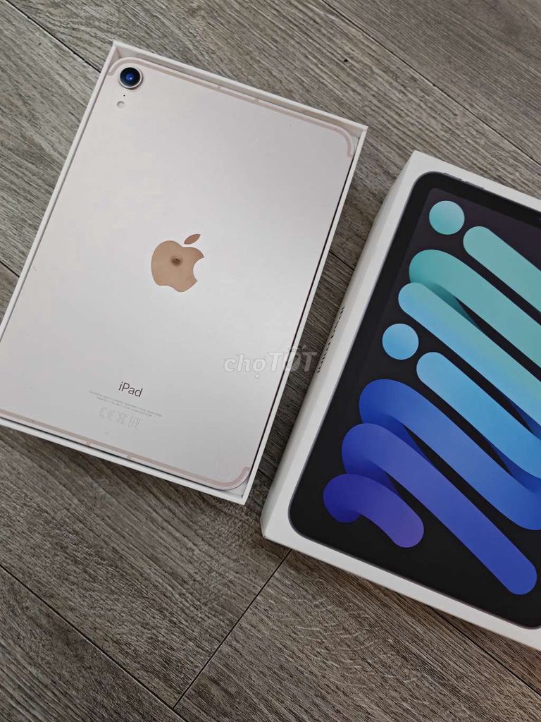 iPad Mini 6 256GB có sim 5G. Mua bán Máy tính bảng tại Quận Thanh Khê Đà Nẵng được đăng bởi Itech ĐN hình 1