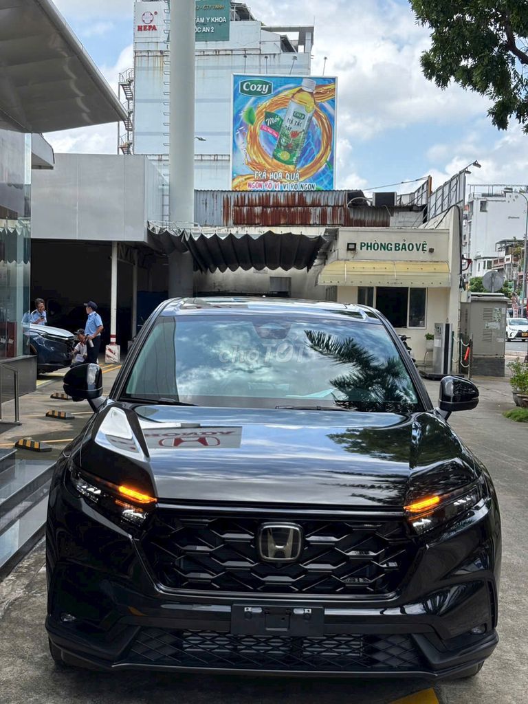 Ảnh số 2