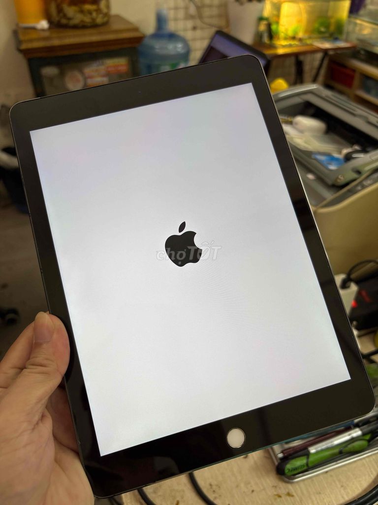 ipad air 2 / e2 full wifi. 4g đầy đủ. zin. Mua bán Máy tính bảng tại Quận Thanh Xuân Hà Nội được đăng bởi Duy hình 1