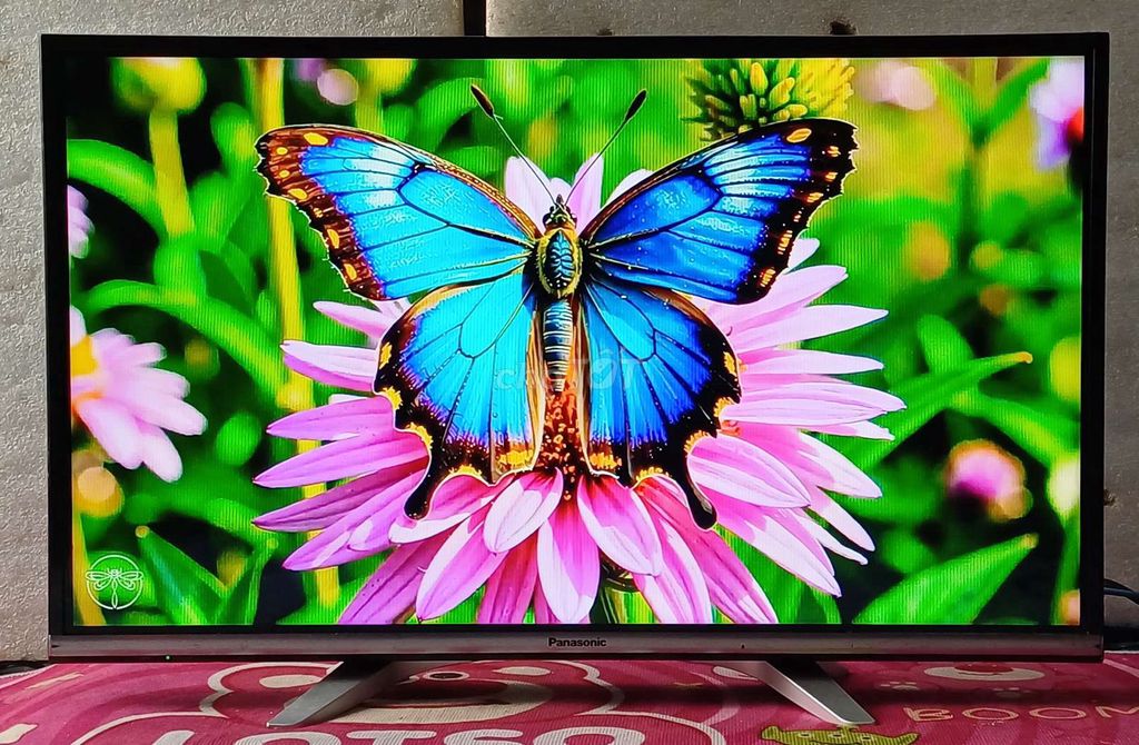 Tivi wifi Panasonic 32 inch zin đẹp loa vòm hay. Mua bán Tivi, Âm thanh tại Quận Ninh Kiều Cần Thơ được đăng bởi Luật Nguyễn hình 1