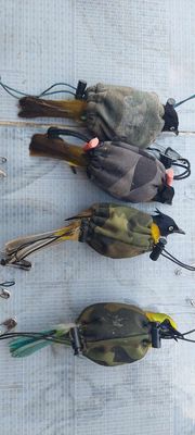 Chào mào núi + hỏa tiễn