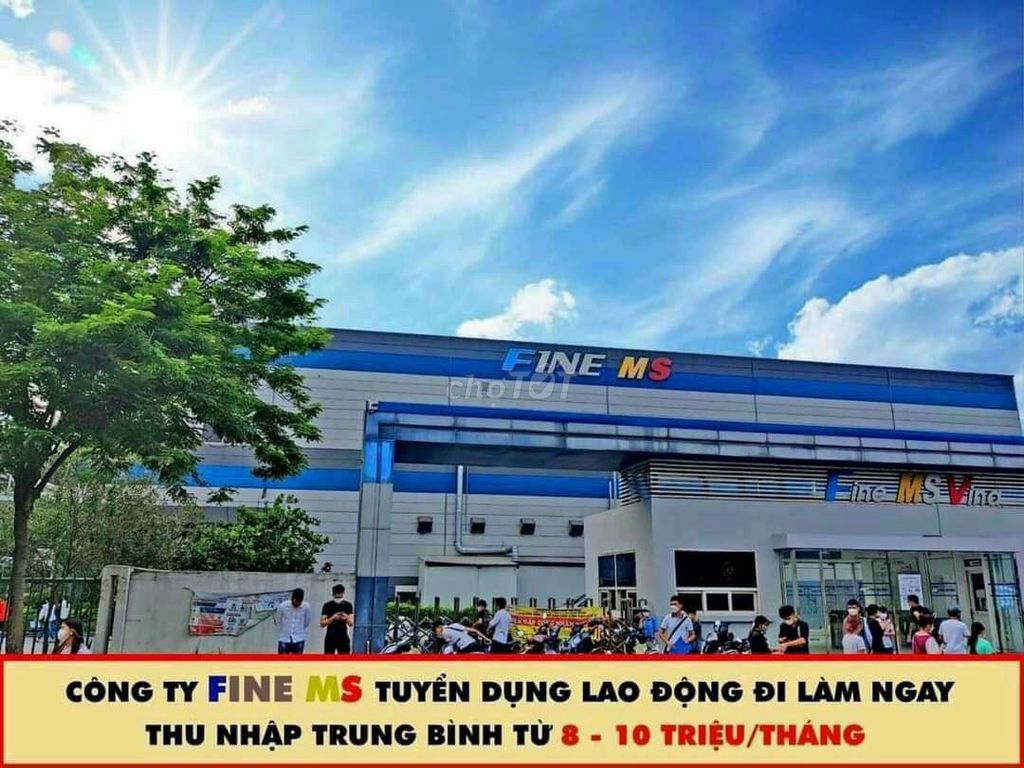 CTY Điện Tử Fine Ms Sản Xuất Linh Kiện Điện Tử