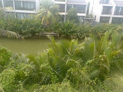 Bán Biệt thự xây thô, hoàn thiện mặt ngoài. Mua bán nhà ở tại Thành phố Hội An Quảng Nam được đăng bởi sơn nguyễn viết