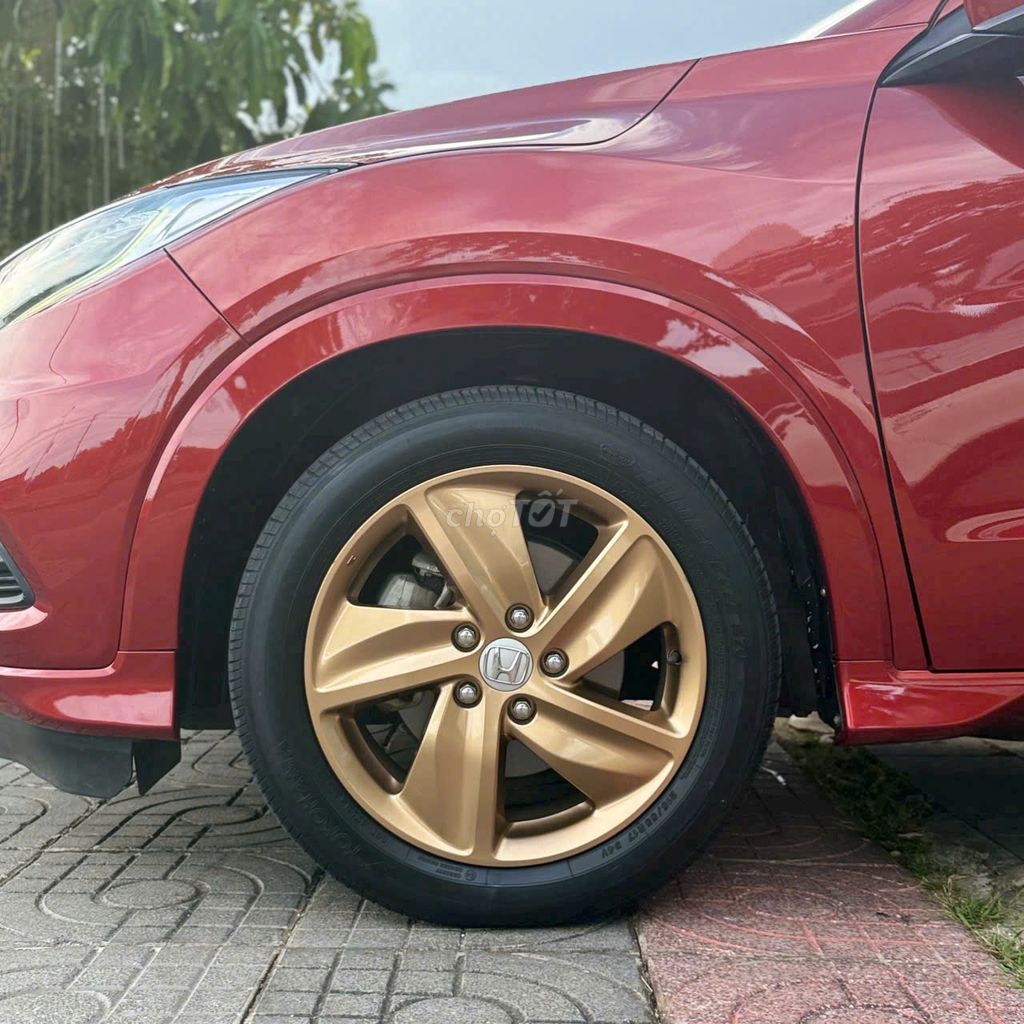 Ảnh số 5