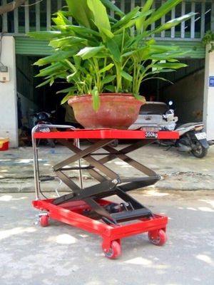 Bàn nâng chậu cây cảnh 150kg - 500kg, nâng cao 1m5. Mua bán Cây cảnh, đồ trang trí tại Quận Hà Đông Hà Nội được đăng bởi Đỗ Quyết Định