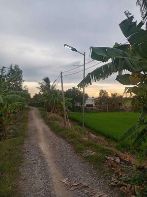 đất nông nghiệp