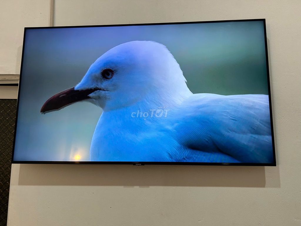 Tivi samsung 50 inch 4k full viền, có giọng nói. Mua bán Tivi, Âm thanh tại Thành phố Phan Thiết Bình Thuận được đăng bởi Nhan Nguyen hình 1
