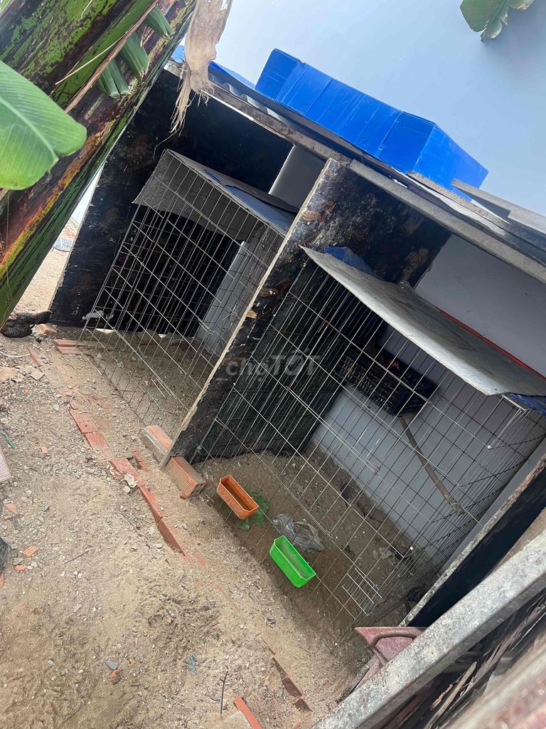 Thanh lý chuồng gà 1m2v + máy ấp trứng. Mua bán Phụ kiện, Thức ăn, Dịch vụ tại Huyện Hóc Môn Tp Hồ Chí Minh được đăng bởi Duy Lê hình 1