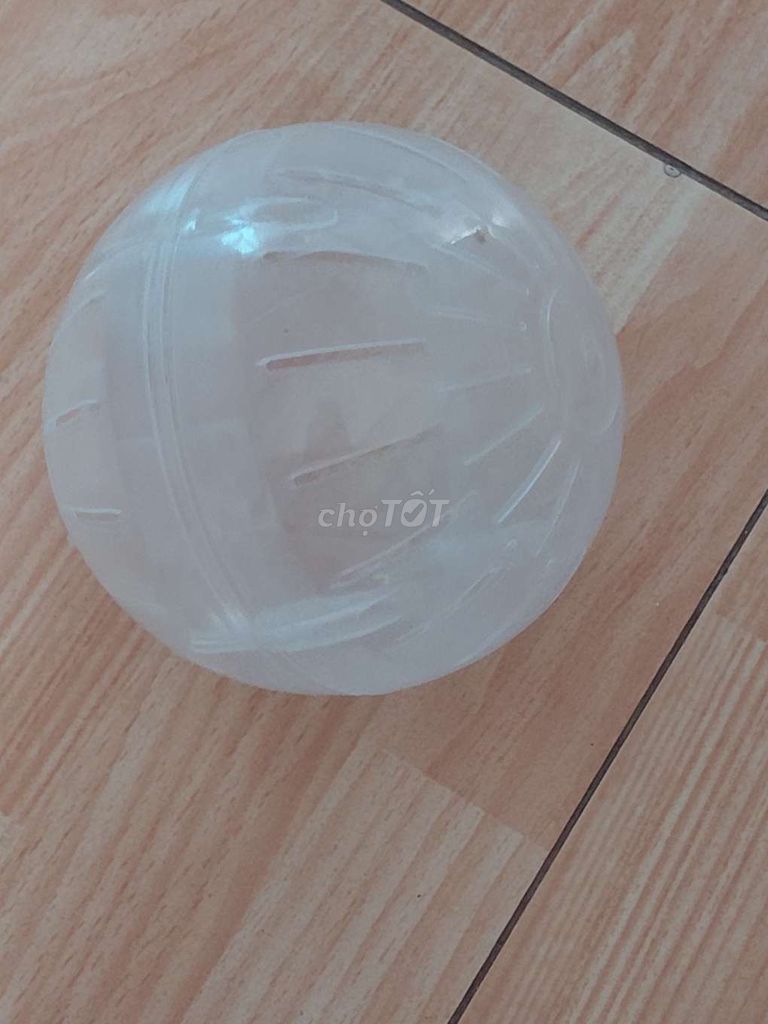 Bóng chạy Hamster nhựa Trắng. Mua bán Phụ kiện, Thức ăn, Dịch vụ tại Quận 10 Tp Hồ Chí Minh được đăng bởi Kim Duyen hình 1