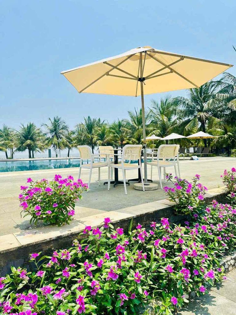 Combo nghỉ dưỡng Hải Tiến - Thanh Hóa. Du lịch tại Quận Đống Đa Hà Nội được đăng bởi Anh thư hình 1