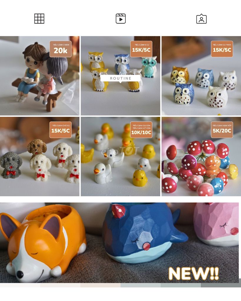 Chậu sen đá - đất nung - chậu thú thanh lý new