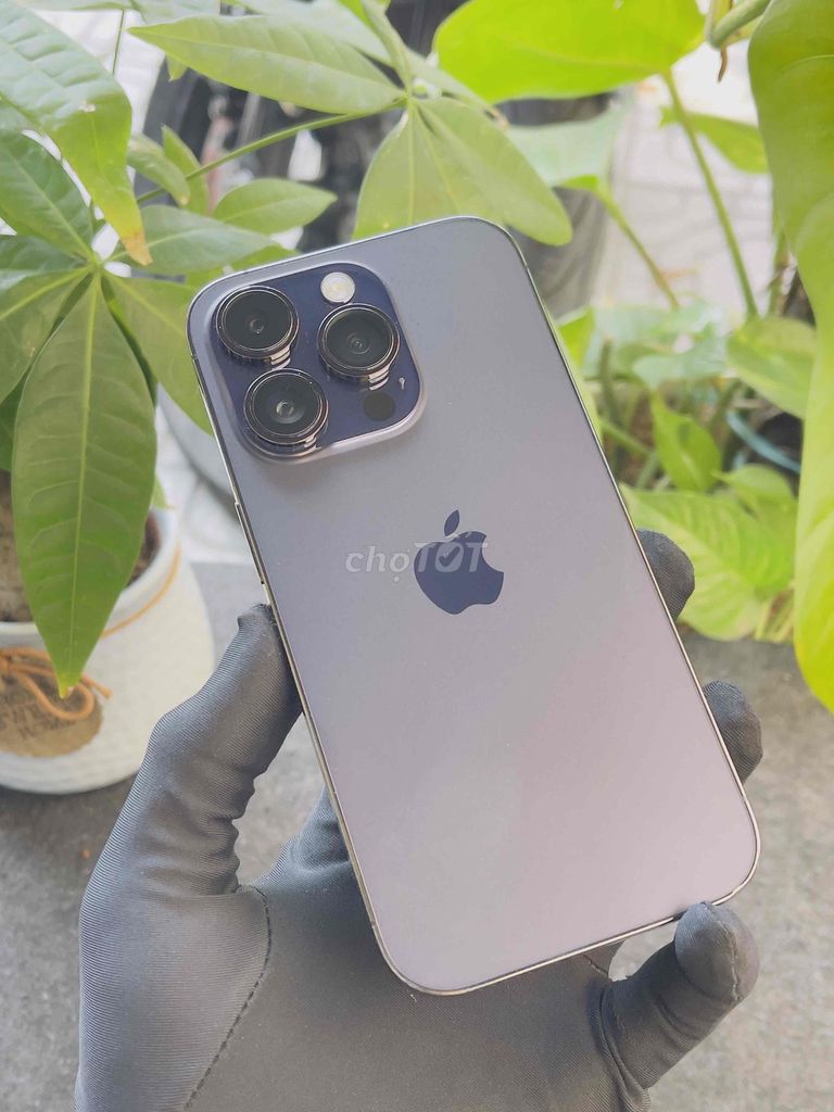 iPhone 14 Pro 256GB Tím ZP/A. MÁY ZIN QUỐC TẾ. Mua bán Điện thoại tại Thành phố Biên Hòa Đồng Nai được đăng bởi DT MOBILE BIÊN HOÀ hình 1