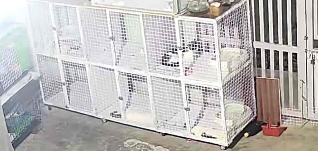Chuồng mèo 2.4x1.3m 2 tầng 6 ô. Mua bán Phụ kiện, Thức ăn, Dịch vụ tại Thành phố Buôn Ma Thuột Đắk Lắk được đăng bởi KK petshop hình 1