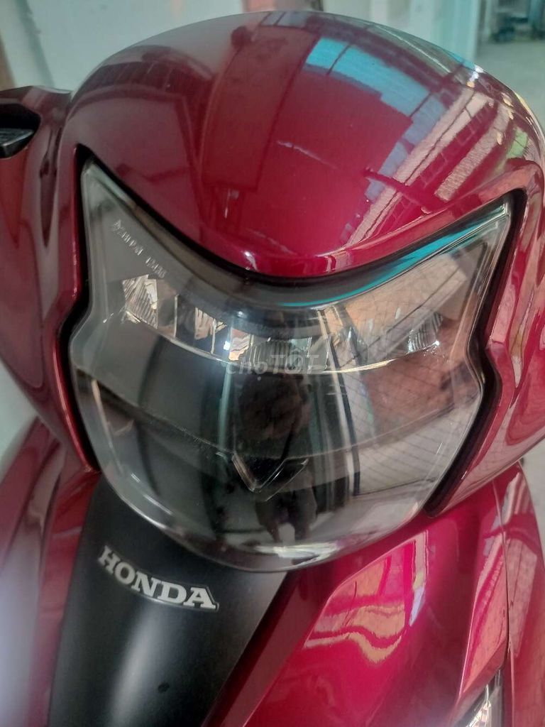 Choa Den Zipat ViSion 2024
