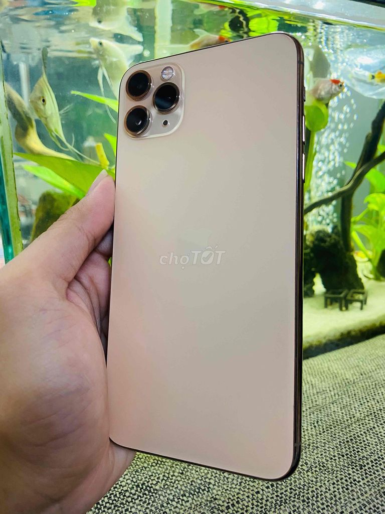 iPhone 11 Pro Max 512GB Quốc Tế Gold Mỹ Zin. Mua bán Điện thoại tại Thành phố Thủ Đức Tp Hồ Chí Minh được đăng bởi Tony Huyn hình 1
