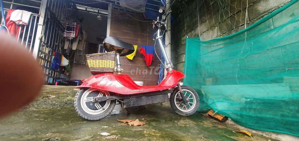 Xe scooter 12 in như hình