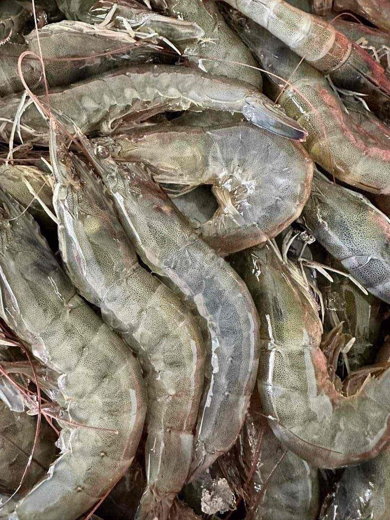 Tôm thẻ 0.5 kg Tiêu đường. Mua bán Đồ ăn, thực phẩm và các loại khác tại Huyện Phù Cát Bình Định được đăng bởi Lê Thị Thu Hương hình 1