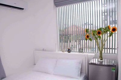 Room 22 m² · Đường Mai Thị Lựu