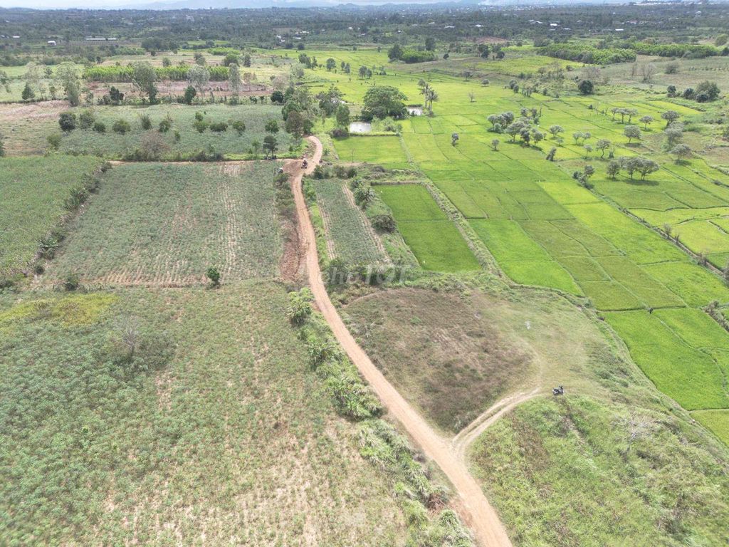 Bán đất thị trấn giá rẻ. Mua bán đất tại Huyện Ea Kar Đắk Lắk được đăng bởi Tứ Tài Lộc hình 5