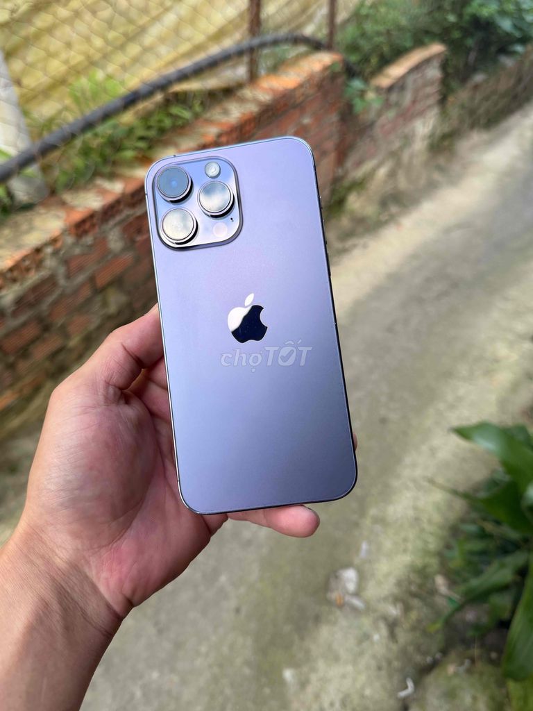 Apple iPhone 14 Pro Max 256GB Tím 81%. Mua bán Điện thoại tại Thành phố Đà Lạt Lâm Đồng được đăng bởi LỘC ĐÀ LẠT hình 1