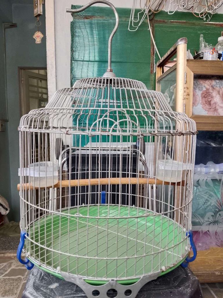 Lồng chim Kim loại Bạc. Mua bán Phụ kiện, Thức ăn, Dịch vụ tại Quận 7 Tp Hồ Chí Minh được đăng bởi hoang phuc hình 1
